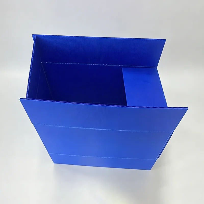 Caja plegable de rotación de láminas huecas de PP
